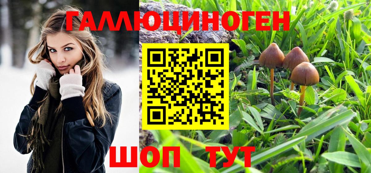 Мелеуз  Галлюциногенные грибы MAGIC MUSHROOMS  Галлюциногенные грибы Psilocybine cubensis  Вход с VPN 